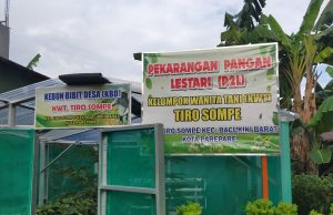 P2L Sudah 3X Panen, Kebung Hidroponik KWT Tirosompe