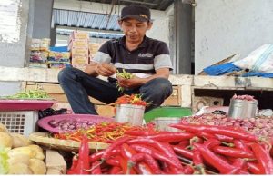 Pemkot Parepare: Harga Cabai dan Ikan Tongkol Melonjak, Tapi Tidak Langka. Minta Masyarakat Jangan Panik