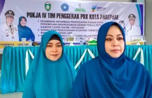 Dr. Renny Ketua Pokja IV PKK Parepare, Gelar Penyuluhan Stunting Bagi Kader
