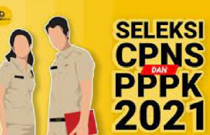 Pemkot Parepare Resmi Buka Seleksi PPPK, Ini Formasinya