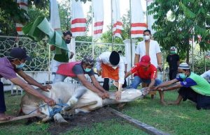 Walikota Parepare Sembelih Hewan Kurban, Taufan Pawe : Maaf jika Ada Salah dan Khilaf