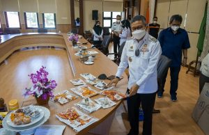 11 Tanda Kehormatan RI Milik BJ Habibie Tiba di Parepare, Museum Segera Dibuka