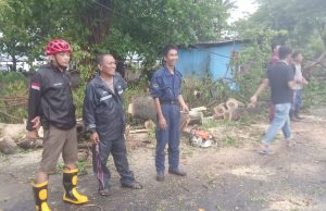 Wali Kota Parepare Minta Camat dan Lurah Data Warga Yang Terdampak Hujan Disertai Angin Kencang