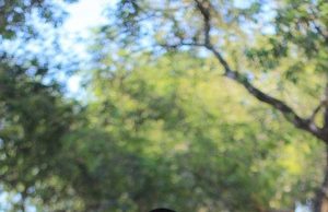 Kisah Muslim Di Amerika DR. Muthahhir Arif, Lima Tahun Di Amerika Jadi Muballigh