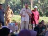 Pesta Panen di Desa Batulappa, Ini Pesan Bupati Pinrang …