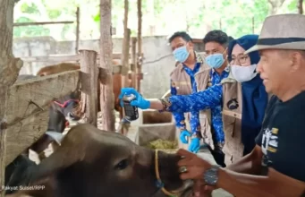 Pengawasan Hewan Kurban Diperketat