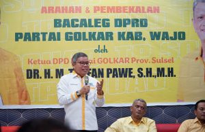 TP: Kembalikan Kejayaan Golkar Wajo