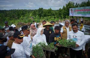 Pj Gubernur Tanam Cabai dan Sukun, Dorong Ekonomi Hijau di Parepare