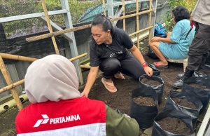 Kolaborasi Hijau Wujudkan Ketahanan Pangan Keluarga, Pertamina Patra Niaga IT Bitung Dukung Pemberdayaan Ibu Rumah Tangga Lewat Hidroponik