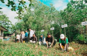 Aksi Bersih Pantai dan Penanaman Mangrove: Pertamina Patra Niaga IT Bitung Gaungkan Semangat Pelestarian Lingkungan yang Inklusif