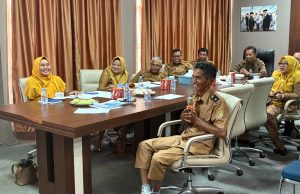 Desa Mario Wakili Sidrap dalam Presentasi Lomba Inovasi Ketahanan Pangan Nasional