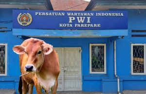 H. Surianto Serahkan Sapi Kurban untuk Wartawan: Bentuk Dukungan tanpa Kepentingan Politik