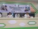 Musda II IPIM Parepare 2025: Aklamasi Pilih Dr. H. Amin Iskandar, MA, IPIM Didorong Bersinergi dengan Pemerintah
