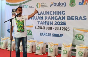 Bupati Sidrap Luncurkan Program Bantuan Pangan Beras 2025: Komitmen Pemerintah Perkuat Ketahanan Sosial dan Ekonomi Warga