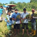 IMG-20251211-WA0323