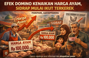 Efek Informasi dan Psikologi Pasar, Harga Ayam Potong di Sidrap Ikut Bergerak Naik