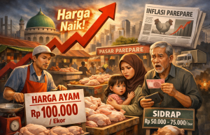 Inflasi Ayam Potong Jelang Hari Raya, Parepare Mengalami Lonjakan Harga Signifikan