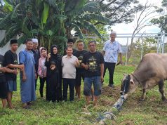 Ketulusan Berbagi di Hari Raya, H. Surianto AM Salurkan Puluhan Hewan Kurban untuk Kaum Duafa di Ajatappareng