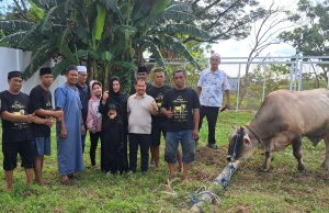 Ketulusan Berbagi di Hari Raya, H. Surianto AM Salurkan Puluhan Hewan Kurban untuk Kaum Duafa di Ajatappareng